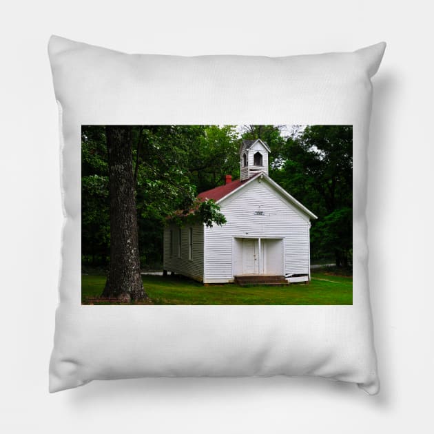 Pleasant Ridge Pillow by michaelasamples