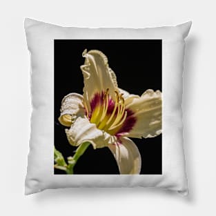 Daylilly Close-up 9 Pillow