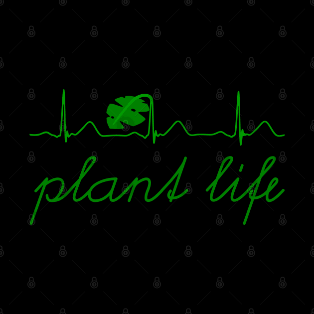 Plant life monstera heartbeat by meldra