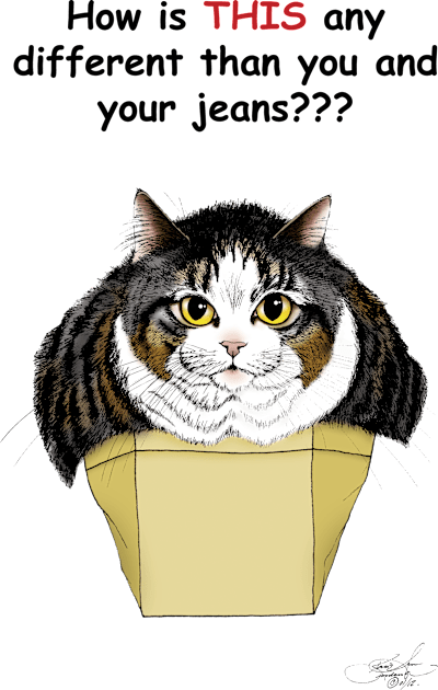 Muffin Top Cat Kids T-Shirt by tigressdragon