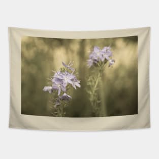 Veronica flowers in sepia tone Tapestry