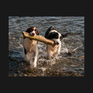 Springer Spaniels Working Together T-Shirt