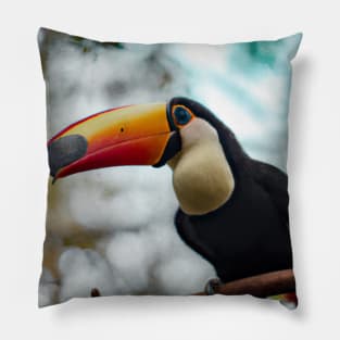 Toucan on branch Pillow