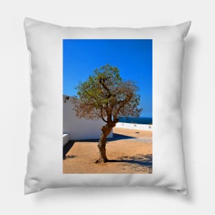 Olive Tree Nossa Senhora da Rocha Porches Algarve Portugal Pillow