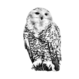 Snowy owl T-Shirt