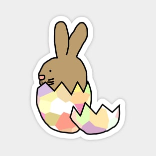 Bunny Rabbit Hatching from Easter Egg Magnet