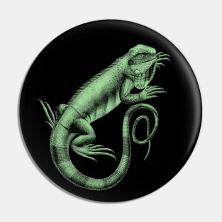 Dramabite Iguana Lizard Reptile Leguan Green Pet Animal Herpetologist Pin