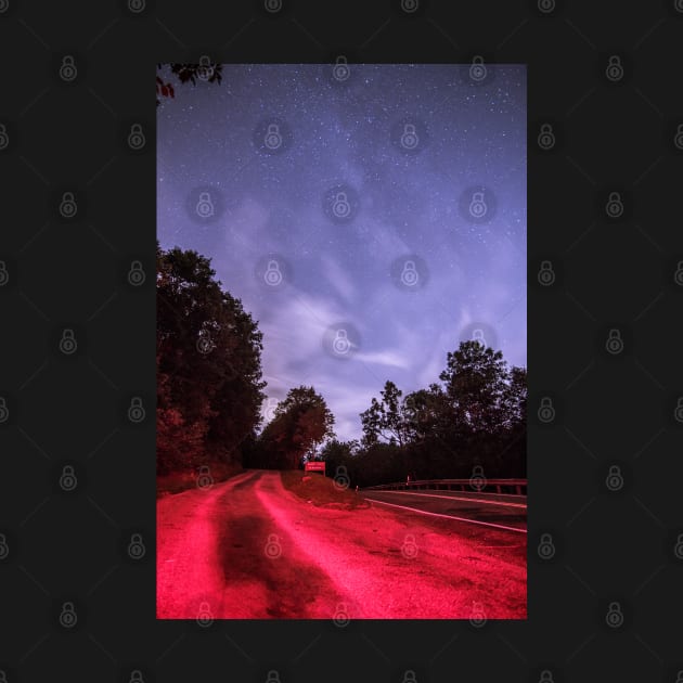 Evans City Cemetery Drive Way Home of Night Of the Living Dead IMG 1297-A by Spookydaz