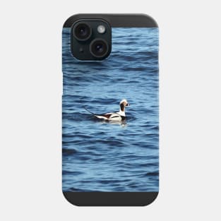 A Long-tailed Duck Swimming Phone Case