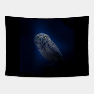 owl Tapestry