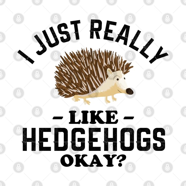 I Just Really Like Hedgehogs by NotoriousMedia