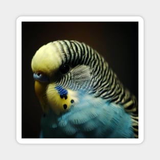 Budgie Magnet