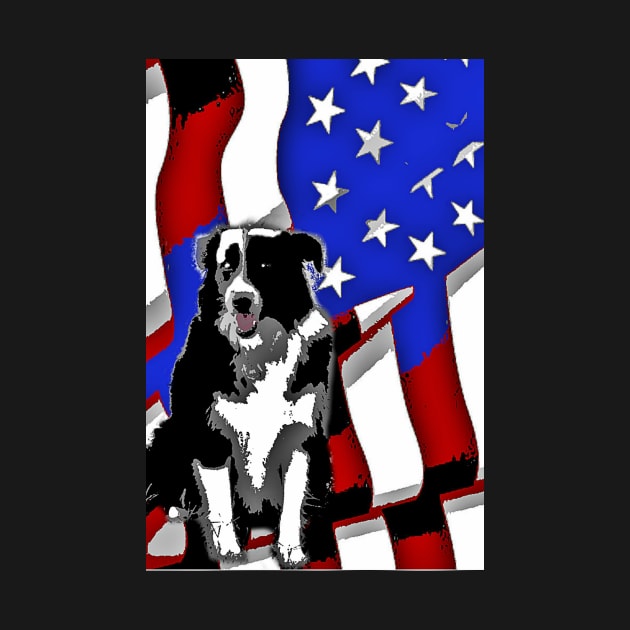 Patriotic Border Collie by dpenn