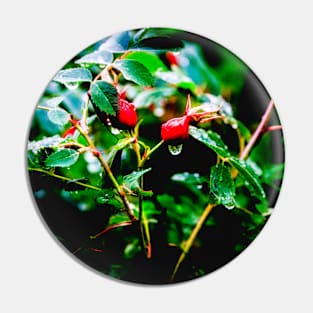 Rosehips Pin