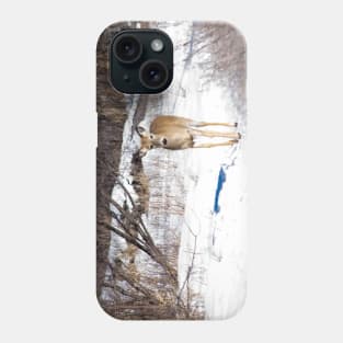 White Tailed Deer. Phone Case