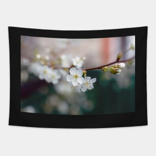 White Cherry flowers Tapestry