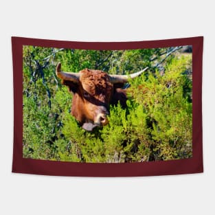 Peek-a-boo Steer Tapestry