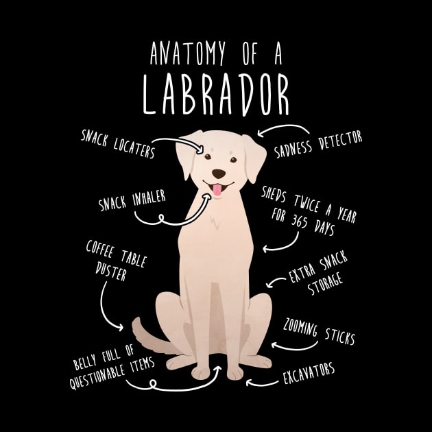 Yellow Labrador Retriever Dog Anatomy by Psitta