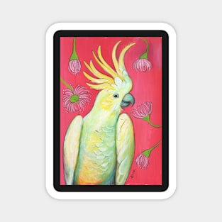 Cockatoo and gum blossoms Magnet