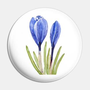blue crocus buds watercolor painting Pin