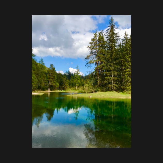 Mountain Lake with Forest and Clouds by ephotocard