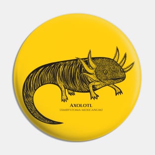 Axolotl with Common and Scientific Names - cool detailed animal design Pin