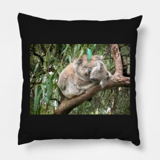 Koala bear mother and baby Pillow