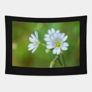 Field Chickweed Tapestry