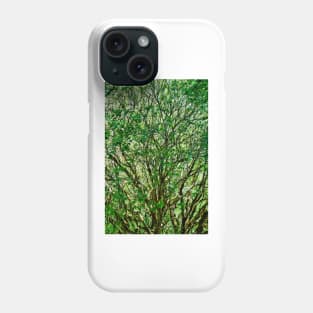 Muir Woods Study 23 Phone Case