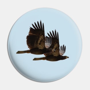 Twin Eagles Pin