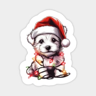 Adorable Dog Christmas Lights Santa Hat Magnet