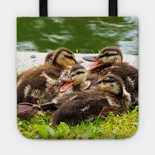 Canada Geese Goslings Huddling Together Tote