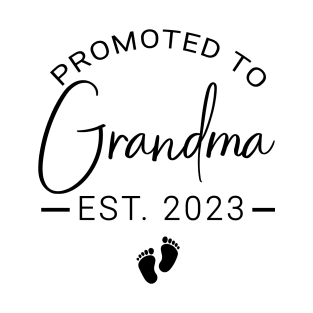 Promoted to Grandma est 2023 T-Shirt