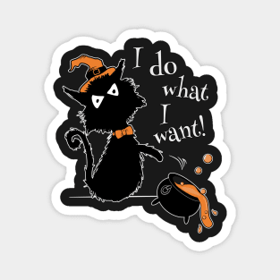 Funny Halloween Black Cat Saying I Do What I Want Magnet