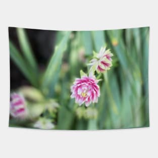 Spring Flowers Tapestry