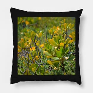 Beach Mangrove Pillow