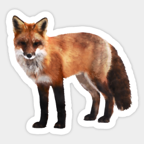 Animal Animals Wildlife Wilderness Wild Freedom Stickers