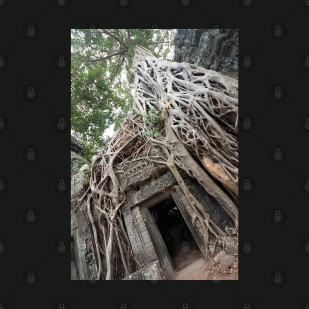 Ta Prohm - Cambodia by Kat C.