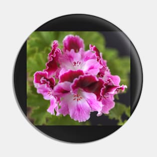 Pelargonium Bouquet Pin