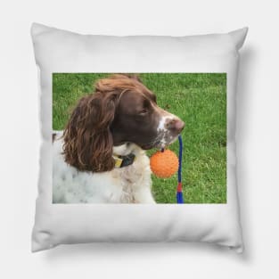 Brock and orange ball Pillow