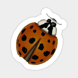 Ladybug Magnet