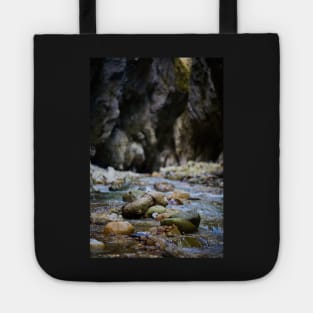 River in a canyon Tote