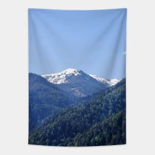 Italian Alps Latsch Tapestry