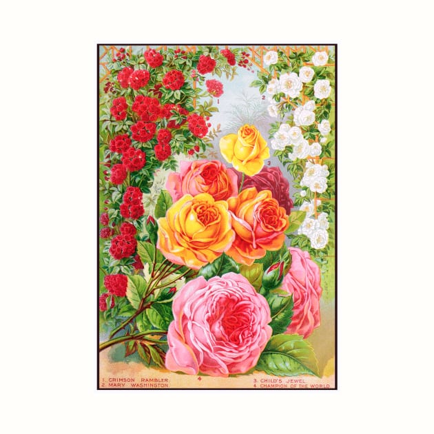 Flowers & Plants Catalogue Cover by WAITE-SMITH VINTAGE ART