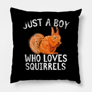 Just A Boy Who Loves Squirrels Pillow