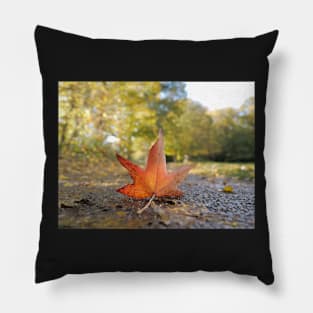 Fallen Autumn leaf Pillow