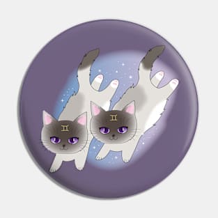 Zodiac Astrology Horoscope Star Sign Cat - Gemini Pin