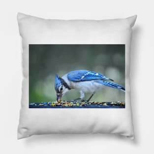 Bluejay Pillow