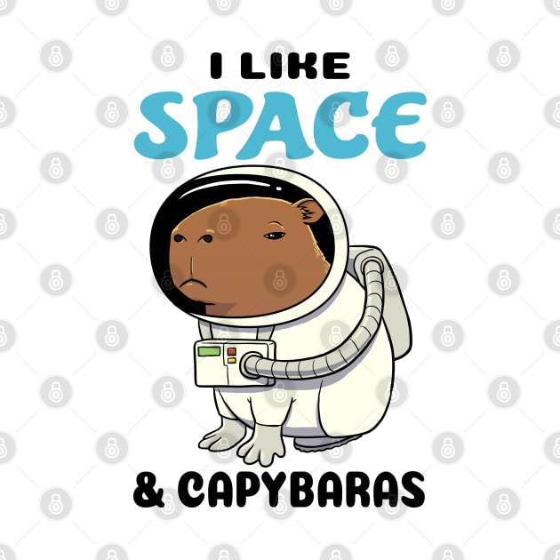 I Like Space and Capybaras by capydays