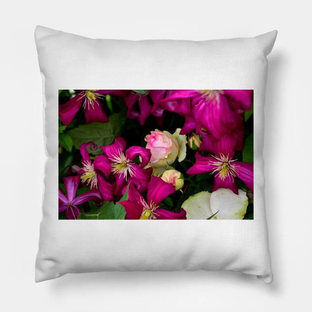 A Rose Among The Clematis Pillow by JimDeFazioPhotography